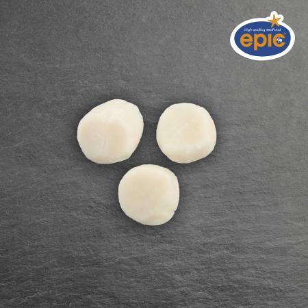 Jakobsmuscheln, ohne Rogen, Vereinigtes Königreich, 10-20 st/lb, 800g Einheit (Karton 12 Einheiten)