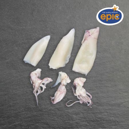Patagonian squid, cleaned, 9-12 cm/pc, 800 g unit (carton 9 units)