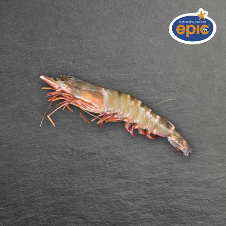 Ocean tiger garnalen met kop, 13-15 st/kg, aan boord ingevroren, Oceana, 800g eenheid (karton 9 eenheden)