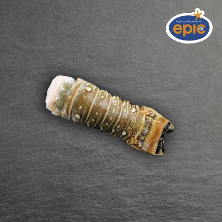 Queues de langoustes, 16-20 oz/pc, au kilo, vrac (carton 4,54kg)