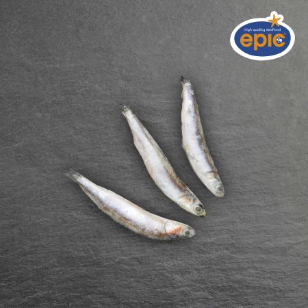 Anchois entier, 40-60pc/kg, unité 900g (carton 10 unités)